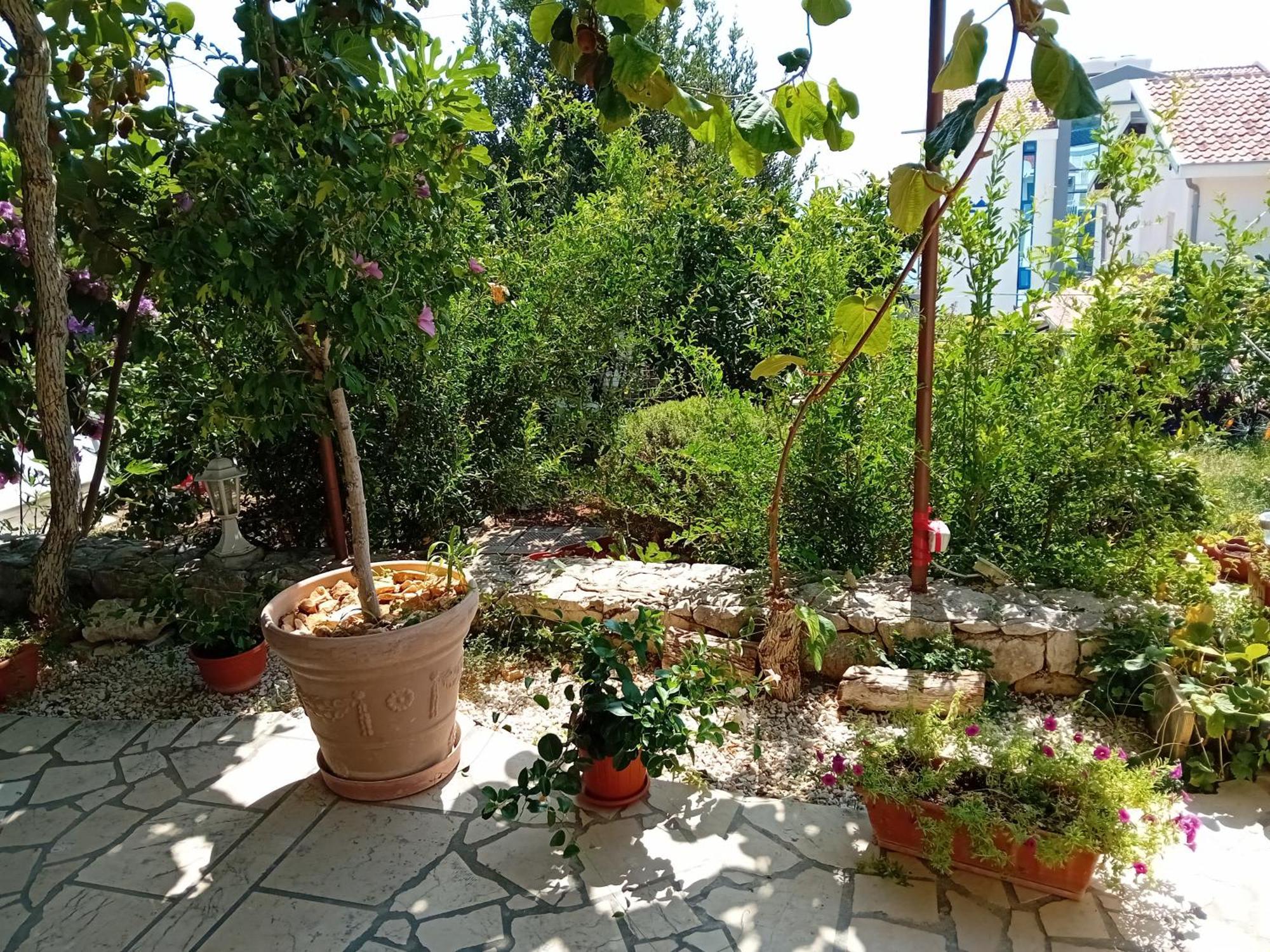 Spajic Apartments Seget Vranjica Extérieur photo